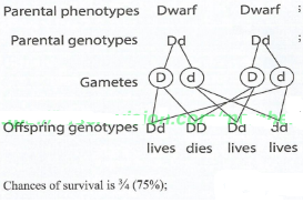 KCSE2021P1BioAns23