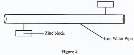 Gene2021pastpaperQ19