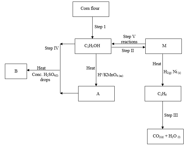 lanjetchemp2q3b