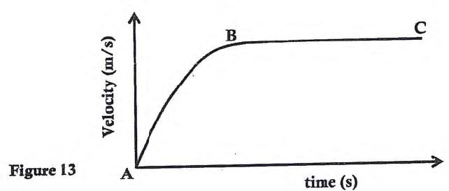 p1 fig 13