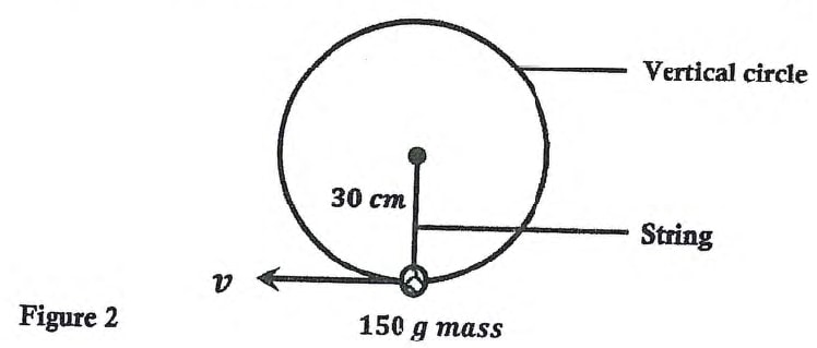 p1 fig 2