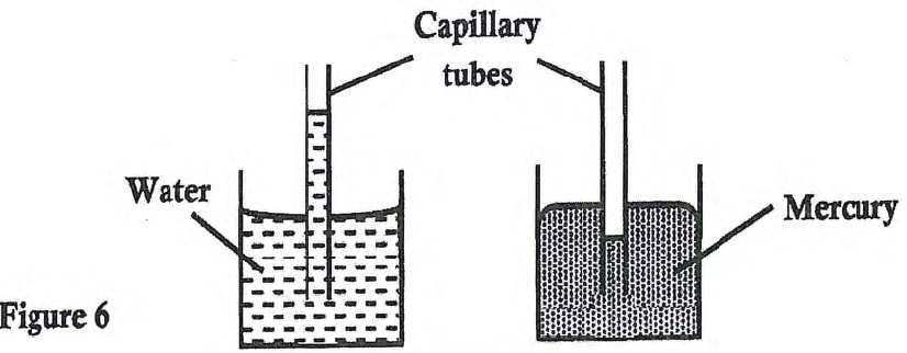 p1 fig 6