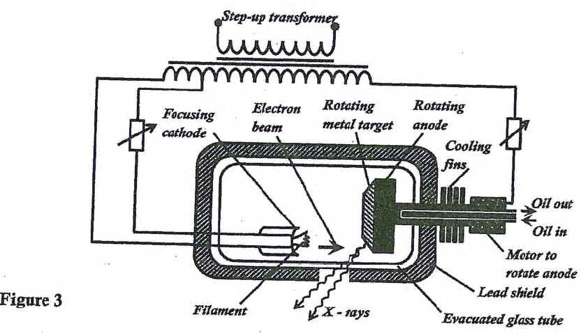 p2 fig 3