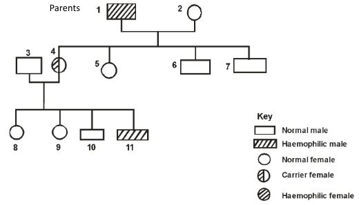 BioMocksQ3