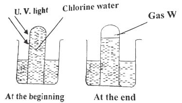 ChemMocksQ6