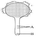 PhysicsMocksQ48