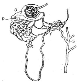 BioMocks2023Q2