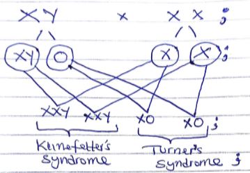 ChemMocks2023Q34