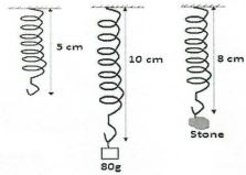 PhyMocks2023Q5