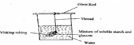 Biop1q10