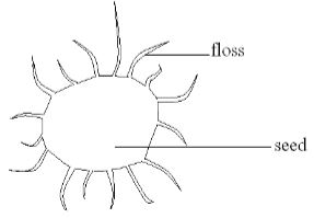 Biop2q02