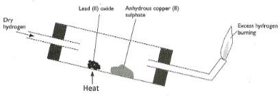 Chemp1q19