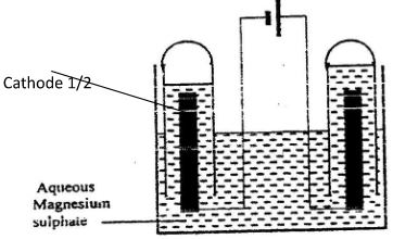 Chemp1qa08