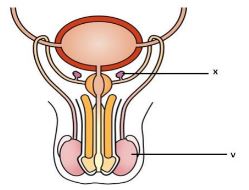 BioPstMp1Q26