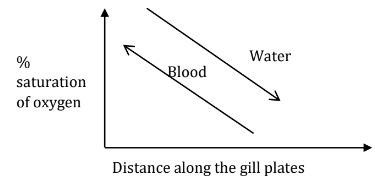 BioPstMp1Q4