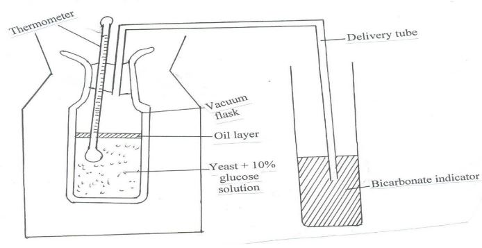 BioPstMp2Q4