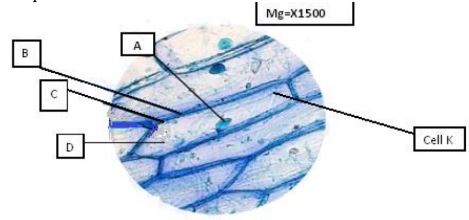 BioPstMp3Q1