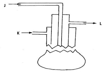 ChemPstMp2Q5a