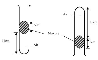 PhycPstMp1Q9