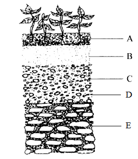 Soil-profile.PNG
