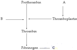 BioSRF42023PrMP1Q2