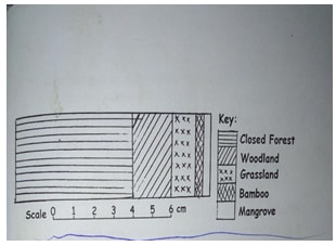 Webp.net compress image 36