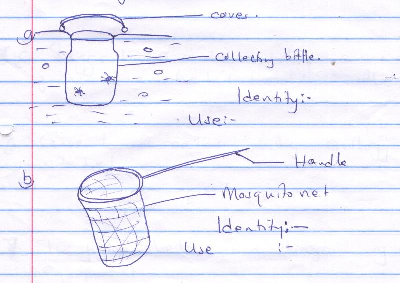apparatus.jpg