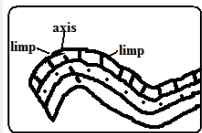 assymetrical faults.PNG