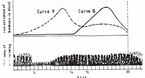 menstrual cycle kcse 2008