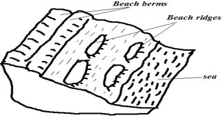 beach ridges and beach bems.PNG