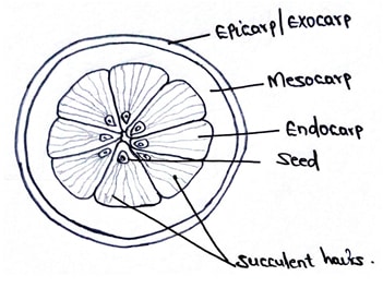 bio3 q3d qsns