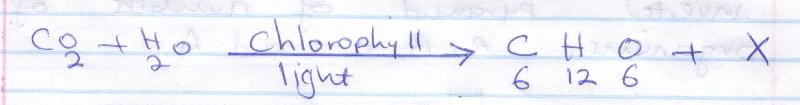 bioq14.jpg