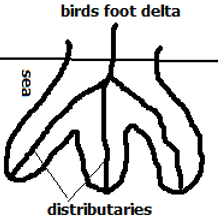 birds foot delta.PNG