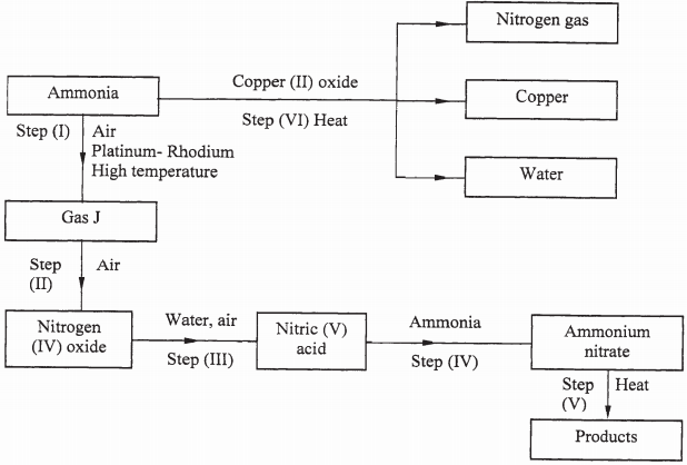 reaction of ammonia kcse 2008