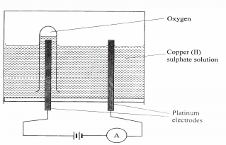 electrolysis kcse 2008