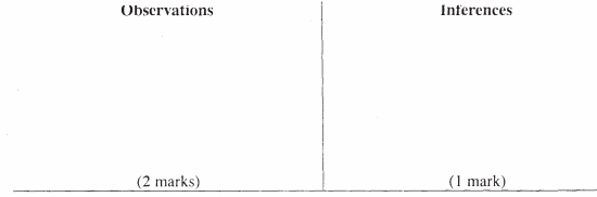 inferences and observations kcse 2008