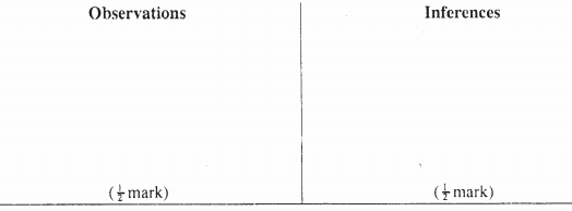 inferences and observations kcse 2008