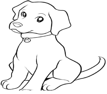 dog set 1