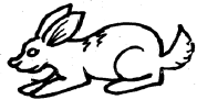 rabbit set1