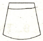 skirt set1