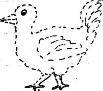 hen set1
