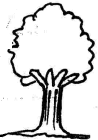 tree set1