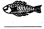 samaki set1