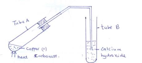 chemq5.jpg