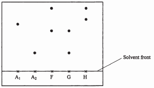 chromatography, kcse 2008