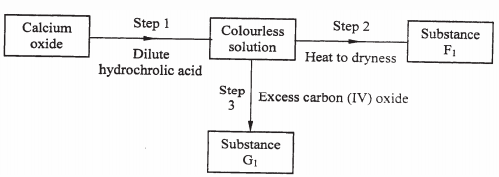 reaction of calcium oxide, kcse 2008