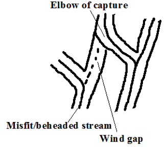 elbow of capture.PNG