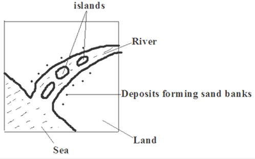 estuarine delta.PNG