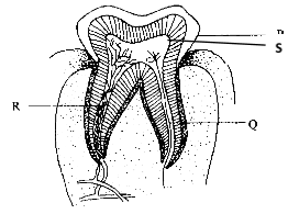 F1 Bio ET3 2122 Q17