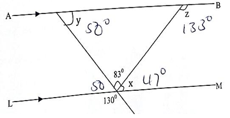 angle x and y